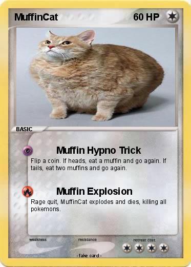 Pokemon MuffinCat
