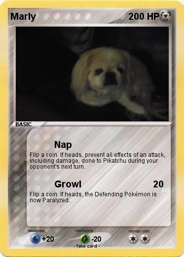 Pokemon Marly