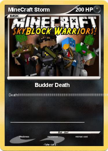 Pokemon MineCraft Storm