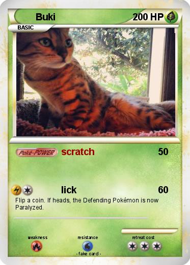 Pokemon Buki