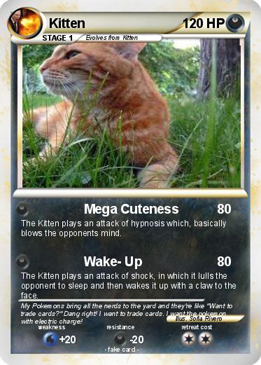 Pokemon Kitten