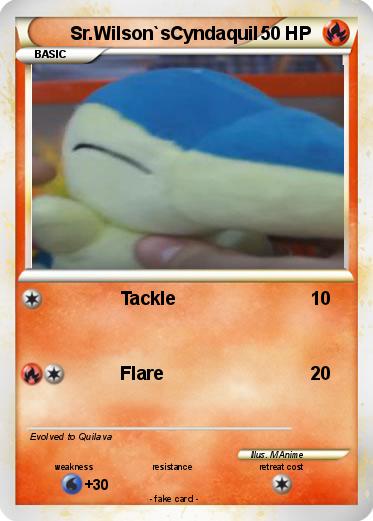 Pokemon Sr.Wilson`sCyndaquil