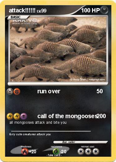 Pokemon attack!!!!!!