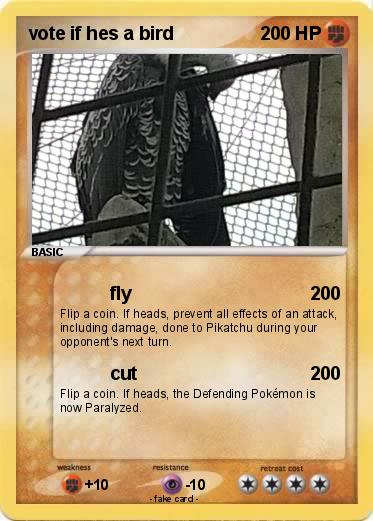 Pokemon vote if hes a bird