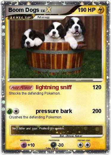 Pokemon Boom Dogs