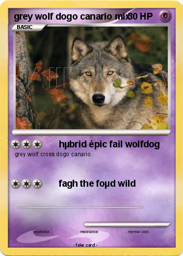 Pokemon grey wolf dogo canario mix