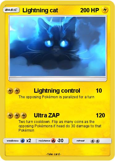 Pokemon Lightning cat 10