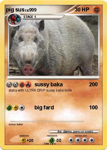 Pokemon pig sus