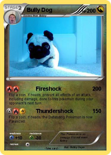 Pokemon Bully Dog