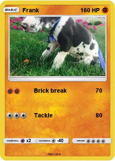 Pokemon Frank