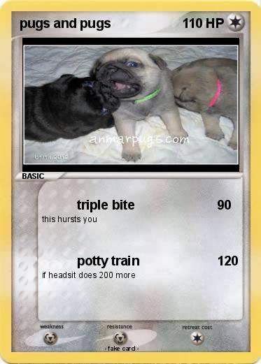 Pokemon pugs and pugs