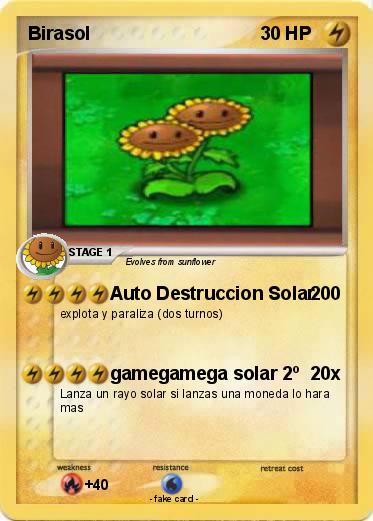 Pokemon Birasol