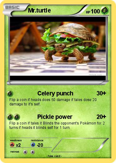 Pokemon Mr.turtle