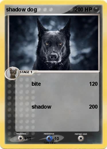 Pokemon shadow dog