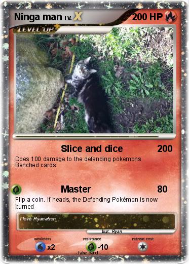 Pokemon Ninga man