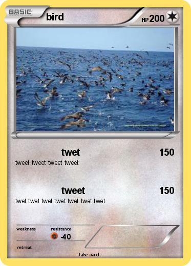 Pokemon bird