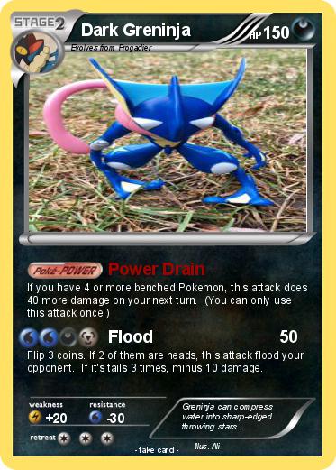 Pokemon Dark Greninja