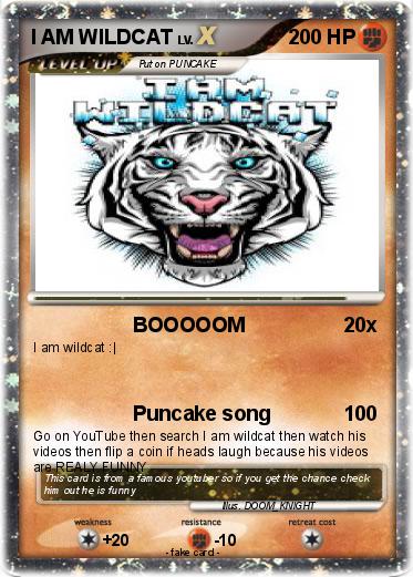 Pokemon I AM WILDCAT