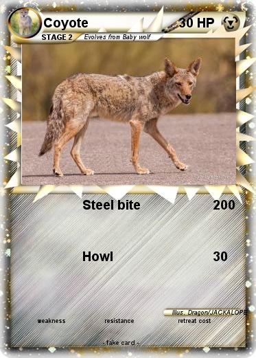 Pokemon Coyote