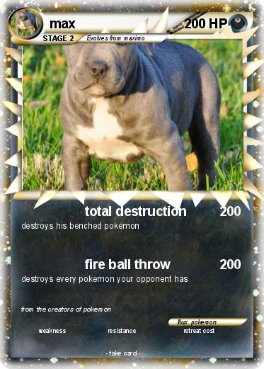 Pokemon max