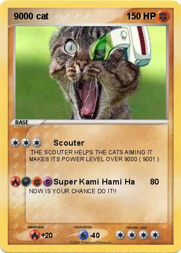 Pokemon 9000 cat