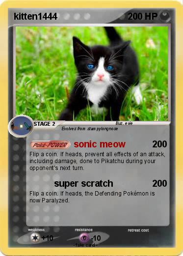 Pokemon kitten1444