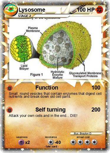 Pokemon Lysosome