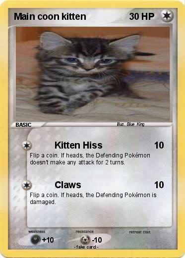 Pokemon Main coon kitten
