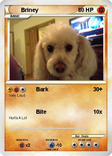 Pokemon Briney