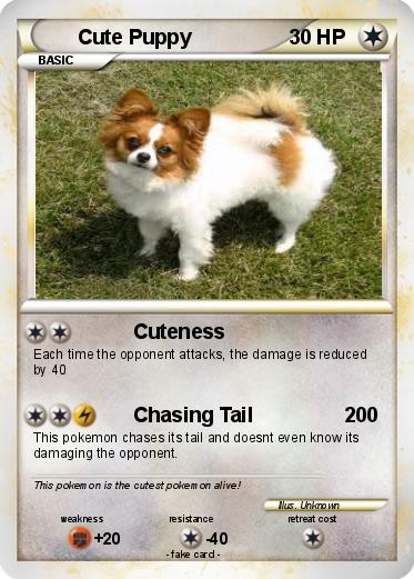 Pokemon Cute Puppy