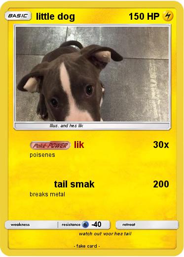 Pokemon little dog