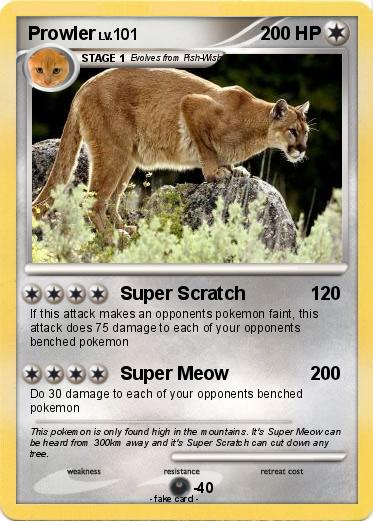 Pokemon Prowler