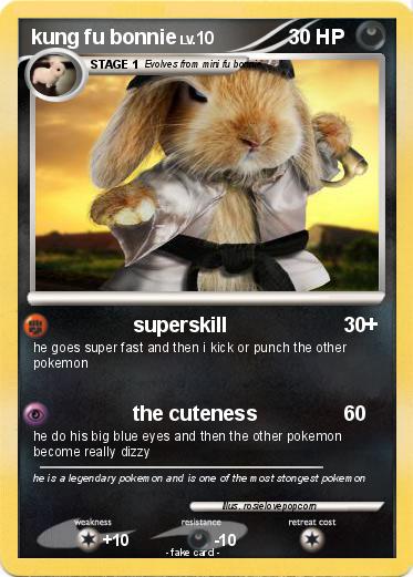 Pokemon kung fu bonnie