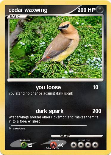 Pokemon cedar waxwing