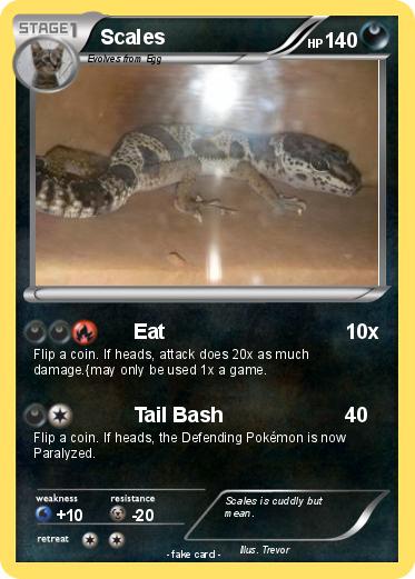 Pokemon Scales