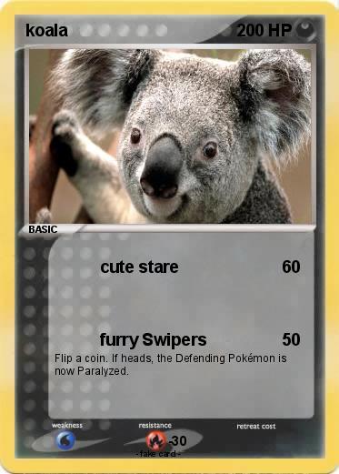Pokemon koala