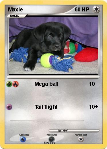 Pokemon Maxie