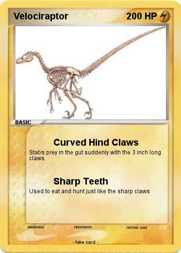 Pokemon Velociraptor