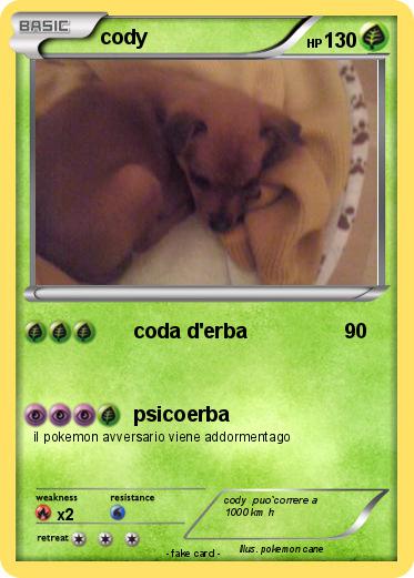 Pokemon cody