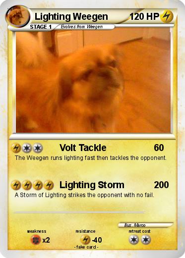 Pokemon Lighting Weegen