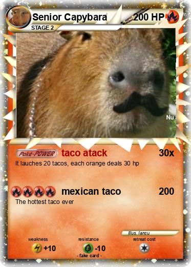 Pokemon Senior Capybara