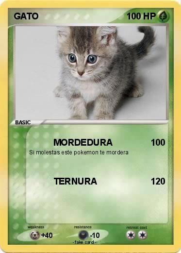 Pokemon GATO