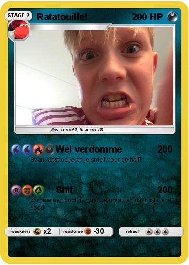 Pokemon Ratatouille!