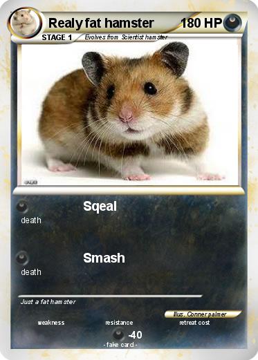 Pokemon Realy fat hamster