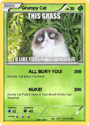 Pokemon Grumpy Cat