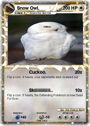 Pokemon Snow Owl.