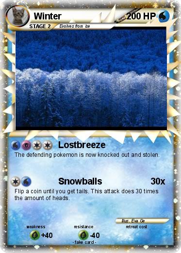 Pokemon Winter