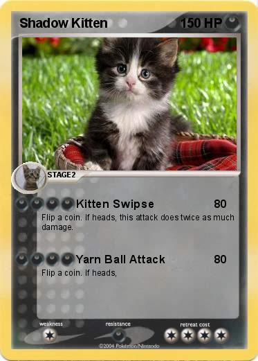 Pokemon Shadow Kitten