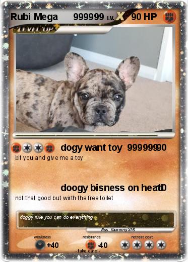 Pokemon Rubi Mega      999999