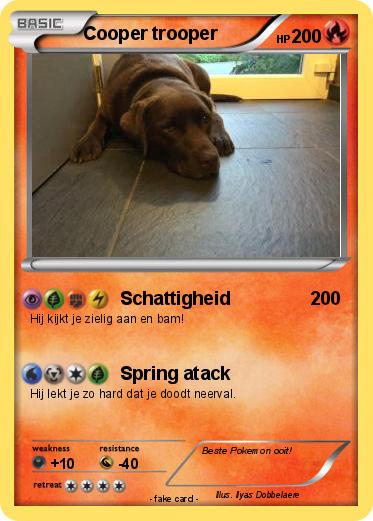 Pokemon Cooper trooper